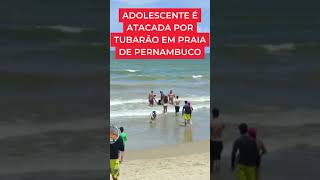 Adolescente É Atacada Por Tubarão Na Grande Recife, No 2º Caso Em Dois Dias