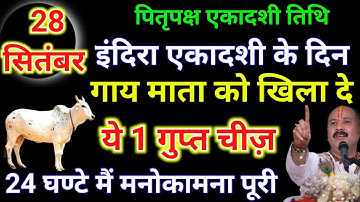 28 सितंबर शनिवार इंदिरा एकादशी के दिन गाय माता को खिला देना ये 1 छोटी सी चीज़ - Pradeep ji mishra