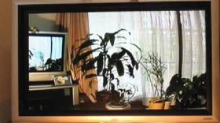 ｽｶｲﾎﾟｯﾀ－　37ｲﾝﾁの画面での画質テスト