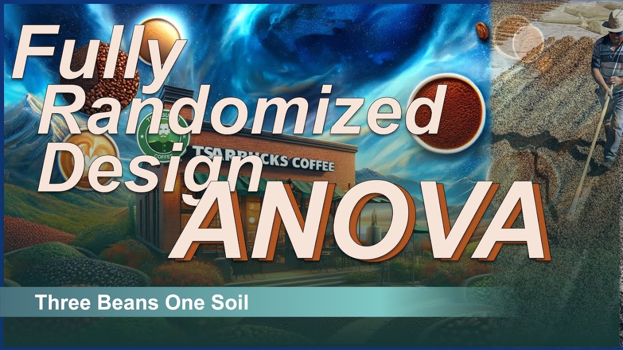 Fully Randomized Design - ANOVA