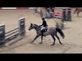 Ambrosio tms z  tal milstein  belgian stallion competition