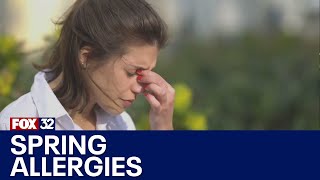 Unseasonably warm weather triggers early allergy season in Chicago