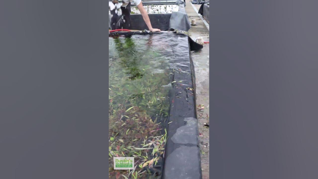 Cleaning Basins YouTube