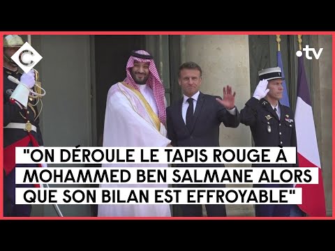 Vidéo: Rencontrez le meilleur tapis qu'un propriétaire pourrait avoir