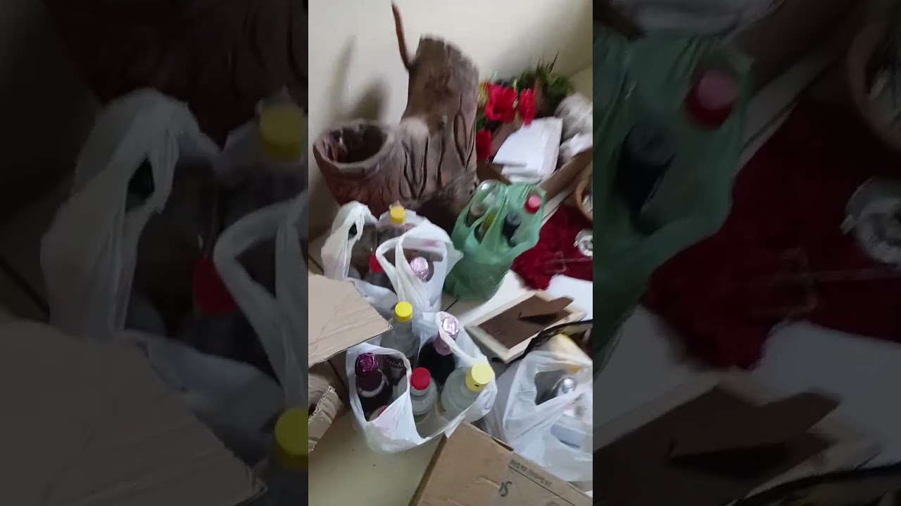 Mostrando  nossa mudança  passando meu wTzp. 53991256262 só entrar en contato