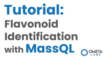 Flavonoid Identification with MassQL