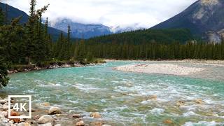4K Beyond the Trail | Emerald River in Northern Alpine Wilderness Beneath Clouded Mountain Peaks