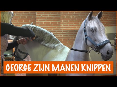 Video: Hoe Bestanden Te Knippen