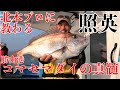 【コマセマダイ】北本プロに教わるコマセマダイの真髄!【つり修行】