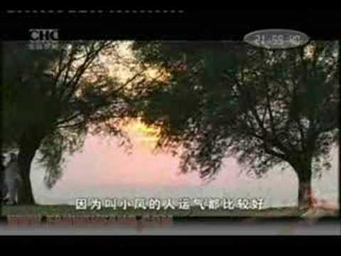 clip Lu Xiao Feng 2