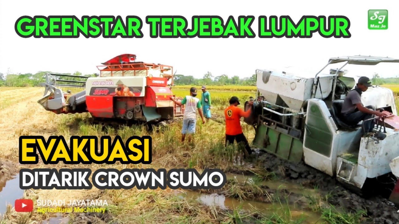 KOMBI SUMO MENARIK KOMBI GREENSTAR TERJEBAK LUMPUR