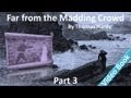 Part 3 - Far from the Madding Crowd Audiobook by Thomas Hardy (Chs 21-30)