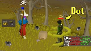 Download Lagu I Found a Low Level Wilderness Bot Farm... MP3