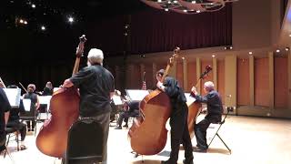 North Coast Strings Bass Section 20150808