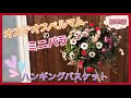 【3月】ハンギングバスケット☆ミニバラとオステオスペルマムの豪華版！〜根の崩し方&植え方・デザインの配置図・容器のセッティングの順になりました！