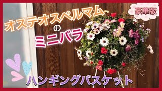 【3月】ハンギングバスケット☆ミニバラとオステオスペルマムの豪華版！〜根の崩し方&植え方・デザインの配置図・容器のセッティングの順になりました！