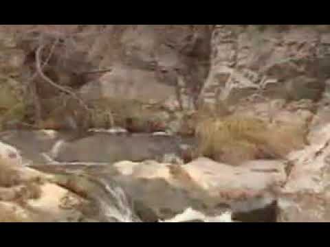 دکلمه زیبای بخشی از شعر حیدربابایه سلام با صدای استاد شهریار