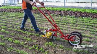 Terrateck  Double wheel hoe cultivator with finger weeder