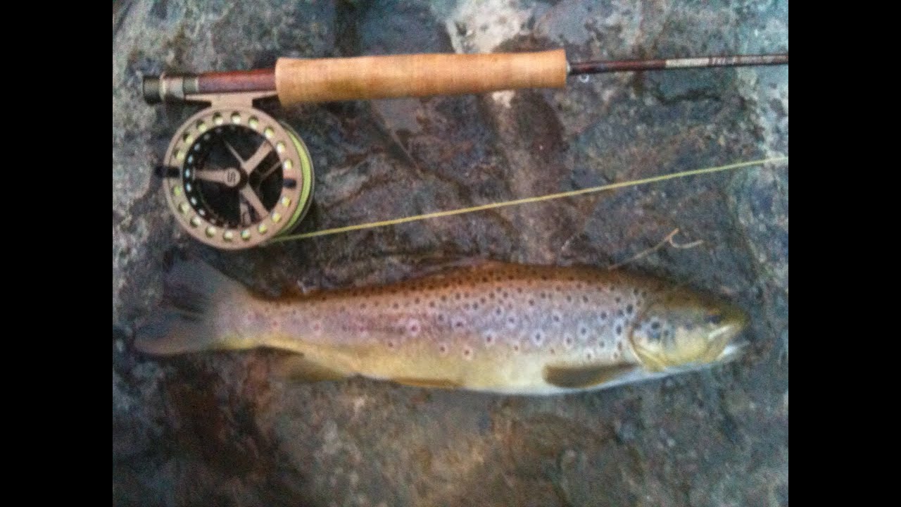 Fishing Life Apollo Bay Part 1 YouTube