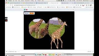 6 Field Trip Sample Project