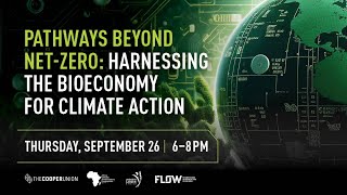 Celebrity Pathways Beyond Net-Zero Wealth