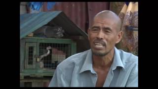 Download Lagu Irama Malam Belalang Rusa MP3