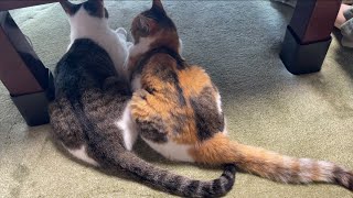 何てことはないけど良き1日。