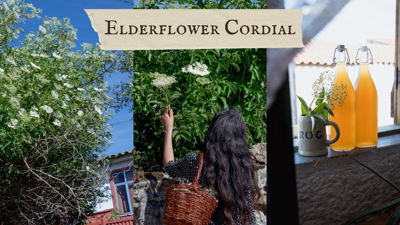 Making Elderflower Cordial in Rural Portugal