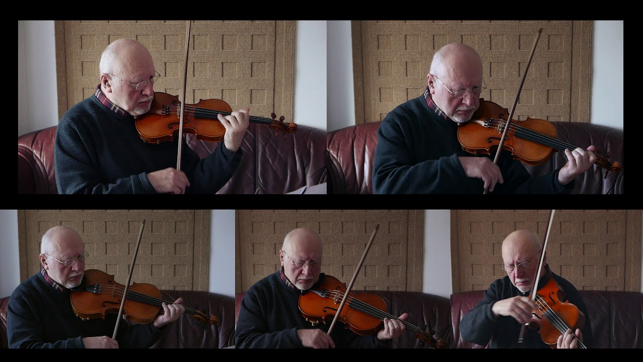 D. Shostakovich: Waltz No.2 - arr. and performed by Mikhail Iakovlev (String Orchestra)