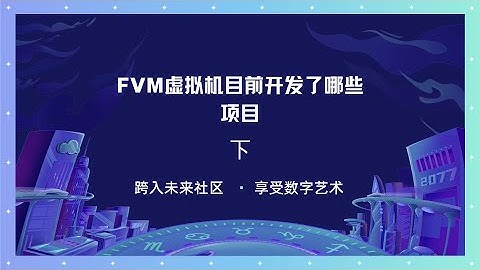 FVM目前开发了那些项目(下)