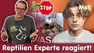 Tiere im Terrarium | IST DAS TIERQUÄLEREI? | Reptil TV REACTION screenshot 4