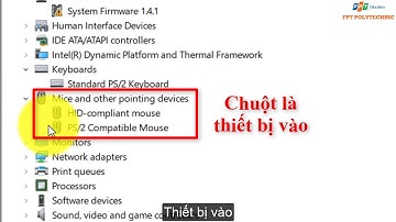 Hướng dẫn xem các thiết bị Input và Output trên máy tính