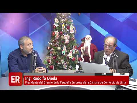 EXPECTATIVAS DE LA CAMPAÑA NAVIDEÑA Y DE FIN DE AÑO