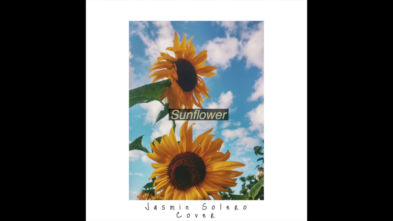 Sunflower Sierra Burgess Is a Loser (Ukulele Cover) YouTube