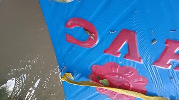 Đêm giăng lưới cá chẻm và cái kết quá phê