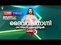 ദൈവവചനാഗ്നി 🔴 [LIVE] ജനുവരി 31, 2026