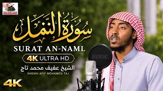 Surat An-Naml [4K Ultra HD] | Sheikh Afif Mohamed Taj | سورة النمل