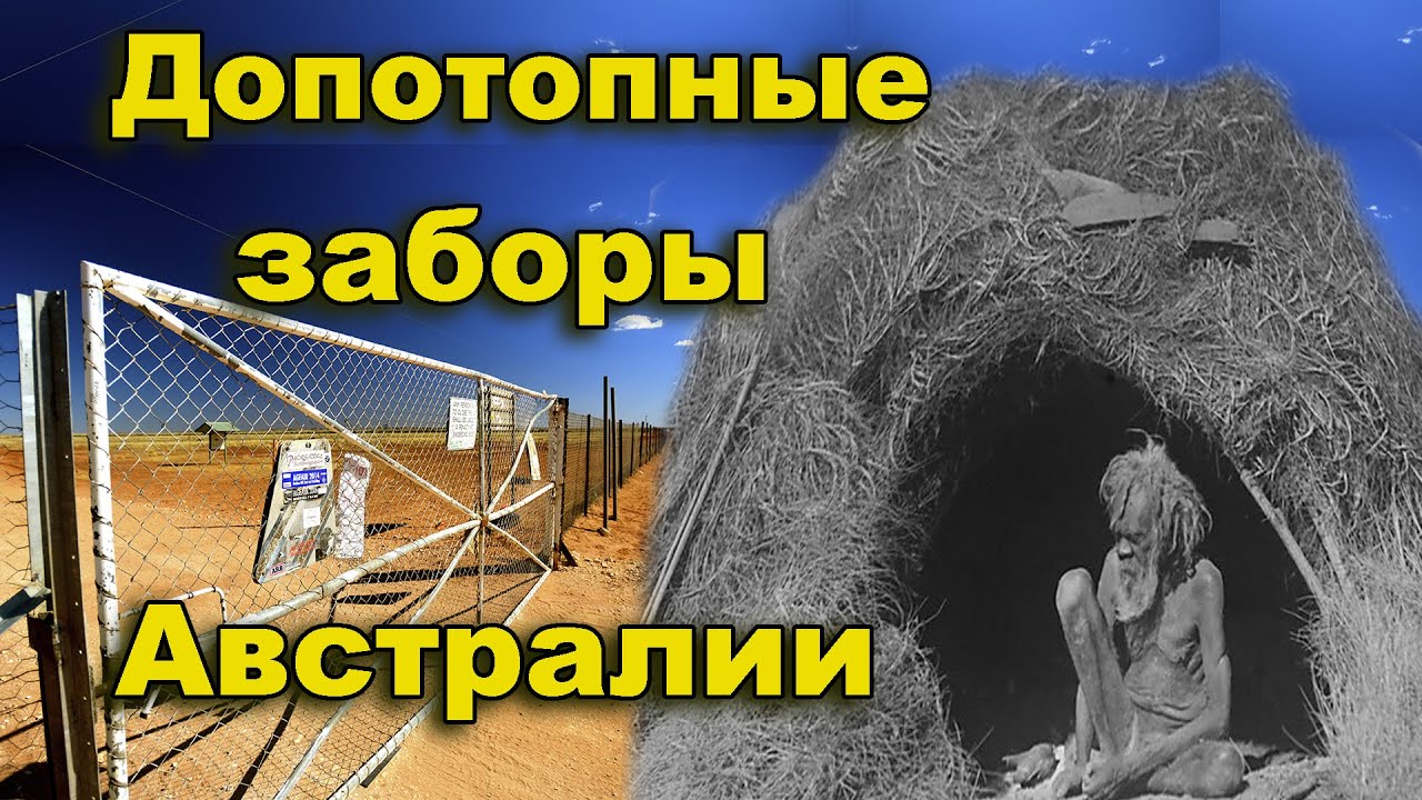 Допотопные заборы Австралии