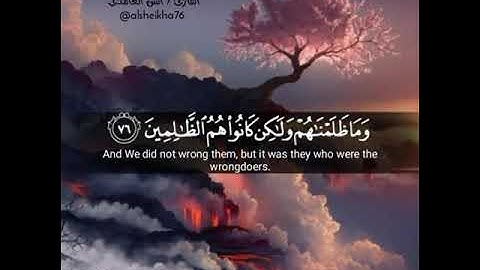 تلاوه انس الغامدي | حالات واتس اب دينيه قصيره من سوره الزخرف♥