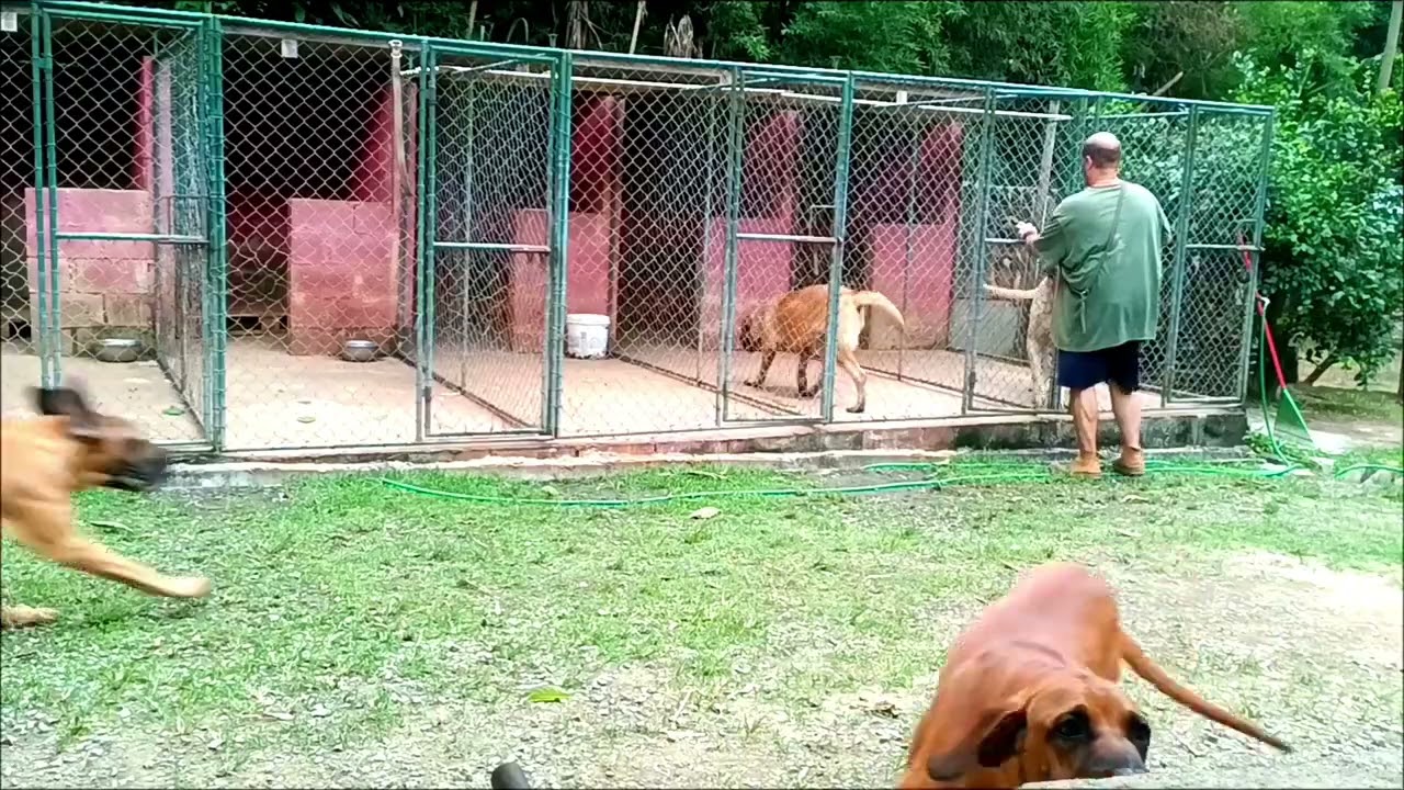 Hora de guardar os filhotões pra dormirem!