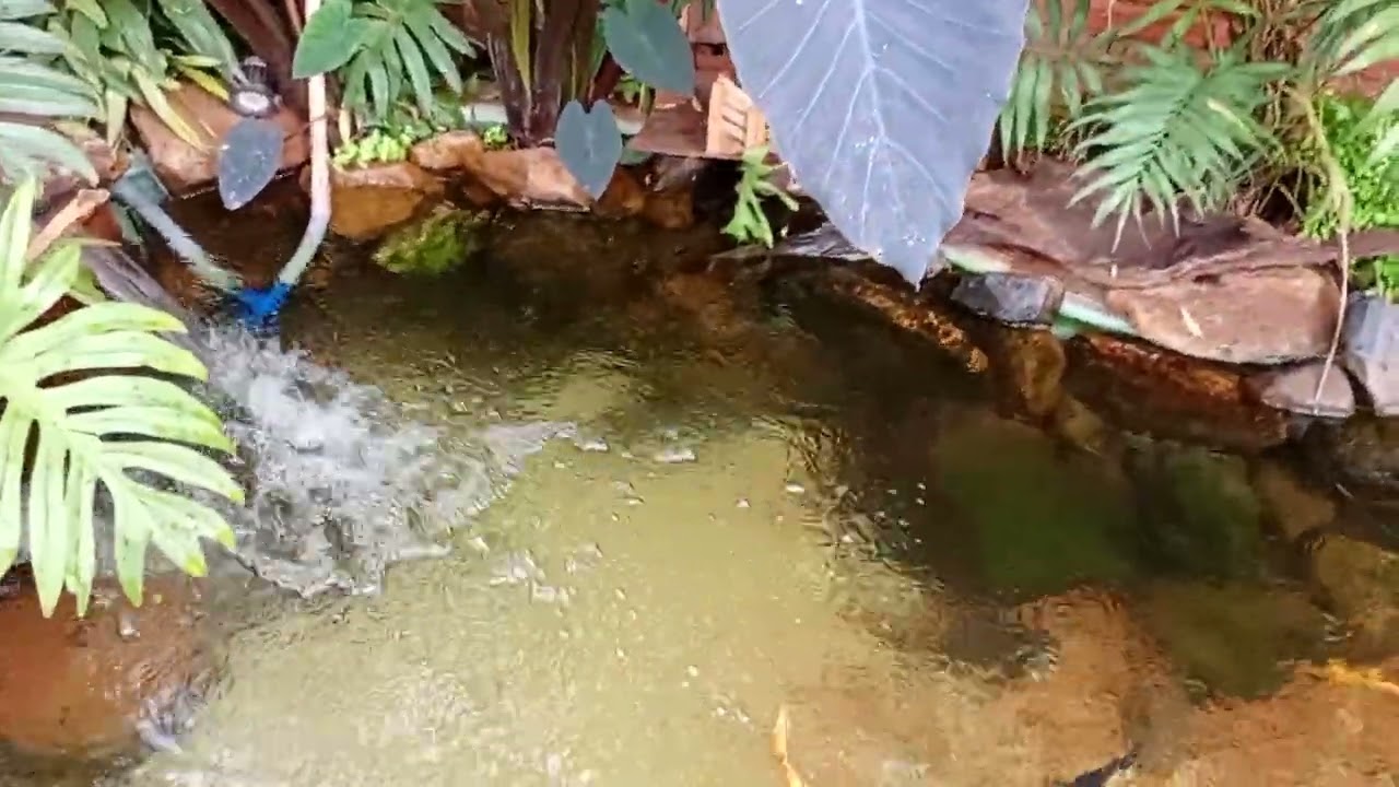 Meu sistema de Filtragem do lago .