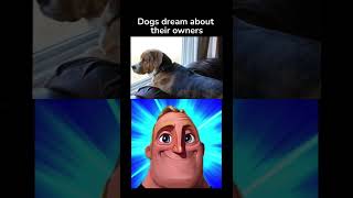 Mr Incredible Becoming Canny Happy Facts