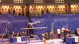 2018 Regionals Tech Sequence Pbars 7.9 out of 10