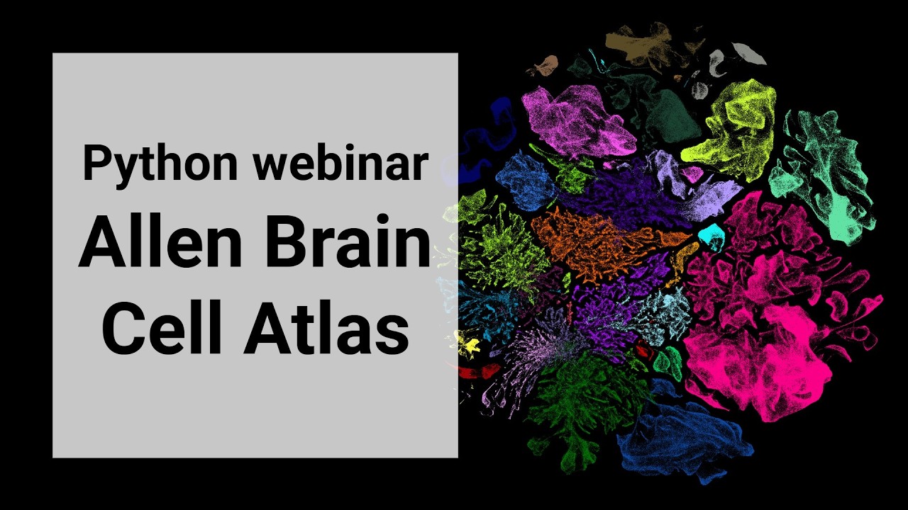 Programmatic Access  to Allen Brain Cell Atlas - Getting Started