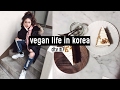 Vegan life in Korea: Plant Cafe, March Rabbit Salad + Leferi Beauty Entertainment | DTV #7