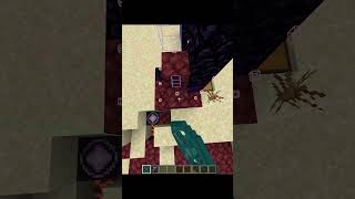 Minecraft Structure Void