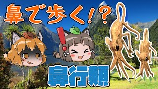 【ゆっくり解説】「鼻行類」鼻で歩く伝説の生き物！？