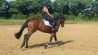 Emerald - Flatwork at home