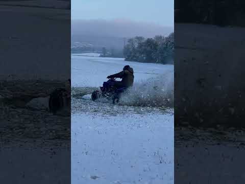 Snow time raptor