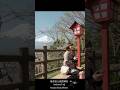 manatora 新倉富士浅間神社｜Arakara Fuji Sengen Jinja Shrine #manatora #japan #cinematic #yamanashi